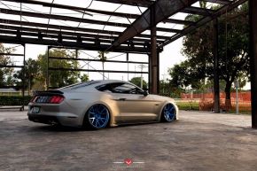 Ford Mustang | VPS-306 