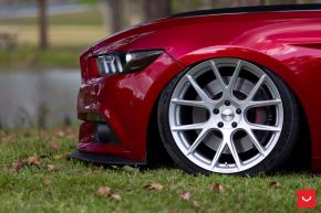 FORD MUSTANG | VFS6