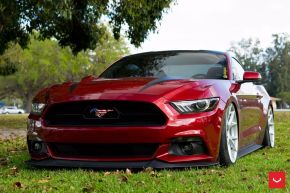 FORD MUSTANG | VFS6