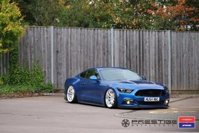 FORD MUSTANG GT | VWS-1