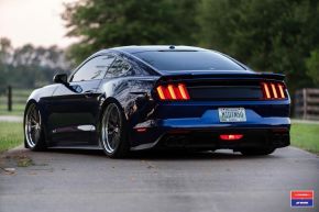 Ford Mustang | VWS-1