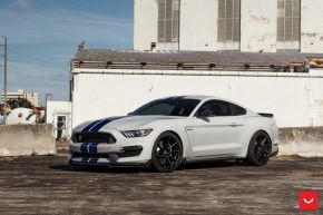 Ford Mustang GT350 | HF-3