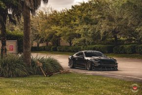 Ford Mustang GT | M-X4T