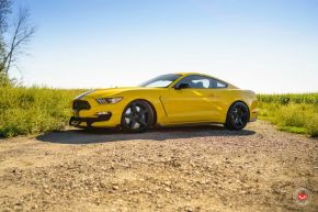 Ford Mustang | GNS-1