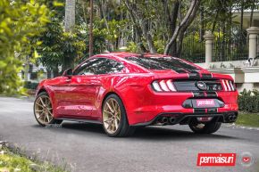 Ford Mustang GT | EVO-2R