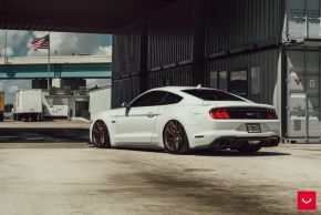 FORD MUSTANG | HF-7