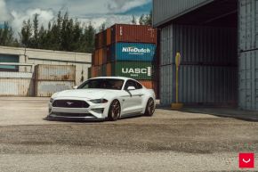 FORD MUSTANG | HF-7