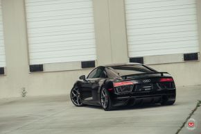 Audi R8 | CG-205
