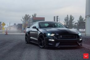 Ford Mustang GT 350 | VFS-5