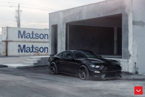 Ford Mustang GT 350 | VFS-5