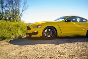 Ford Mustang | GNS-1